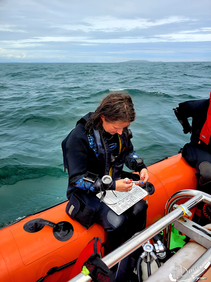Dive Trips
